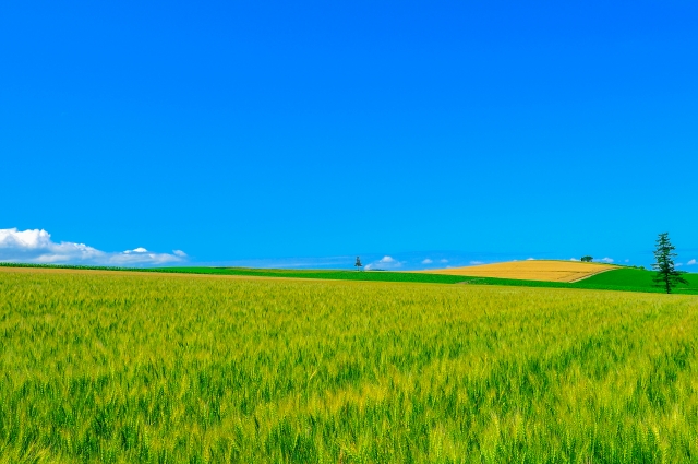 北海道