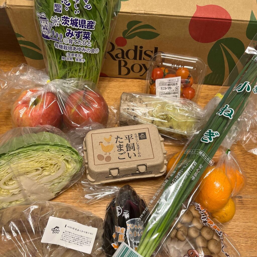 らでぃっしゅぼーや野菜セットぱれっと